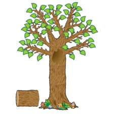 Seasonal Tree Bulletin Board Display Set Seasonal Tree Bulletin Board Display Set