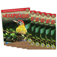 Ranger Rick's Reading Adventures: Woodpeckers 6-Pack