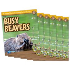 Ranger Rick's Reading Adventures: Busy Beavers 6-Pack