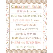 Terrazzo Tones Classroom Rules Chart Terrazzo Tones Classroom Rules Chart