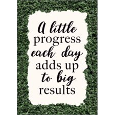 A Little Progress Each Day Adds up to Big Results Positive Poster