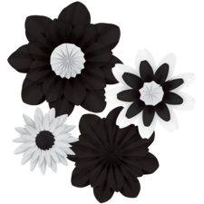 Black and White Paper Flowers