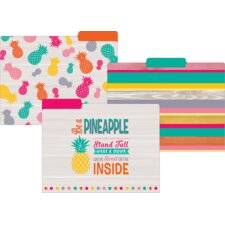 Tropical Punch File Folders