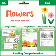 Flowers - Reading Comprehension Activity Google Slides