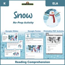 Snow - Reading Comprehension Activity Google Slides
