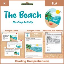 The Beach - Reading Comprehension Activity Google Slides