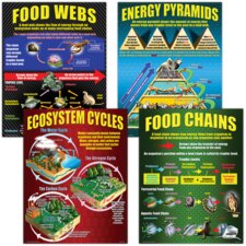 Ecosystems Poster Set Ecosystems Poster Set