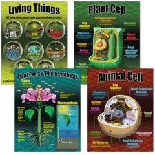 Life Science Poster Set Life Science Poster Set