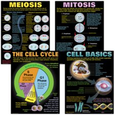 Cells Poster Set Cells Poster Set
