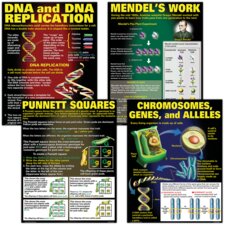 DNA & Heredity Poster Set DNA & Heredity Poster Set