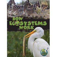 How Ecosystems Work