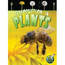 Reproduction in Plants