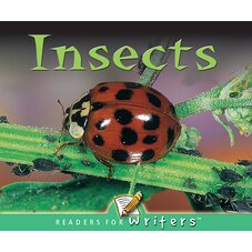 Insects