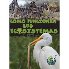 Como funcionan los ecosistemas