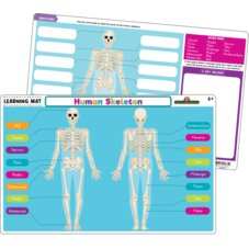 Human Skeleton Learning Mat