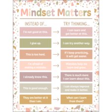 Terrazzo Tones Mindset Matters Chart