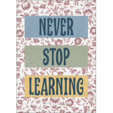 Never Stop Learning Positive Poster