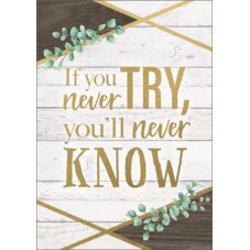 If You Never Try, You'll Never Know Positive Poster