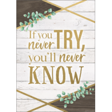 If You Never Try, You'll Never Know Positive Poster