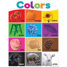 Colorful Colors Chart