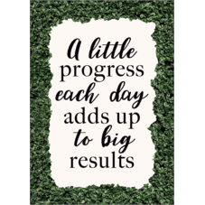 A Little Progress Each Day Adds up to Big Results Positive Poster