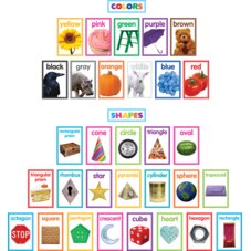 Colorful Photo Shapes & Colors Cards Bulletin Board