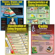 Living Organisms Poster Set