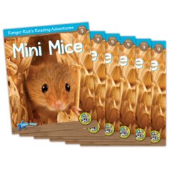 Ranger Rick's Reading Adventures: Mini Mice 6-Pack