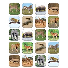 Safari Animals Stickers