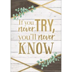 If You Never Try, You'll Never Know Positive Poster