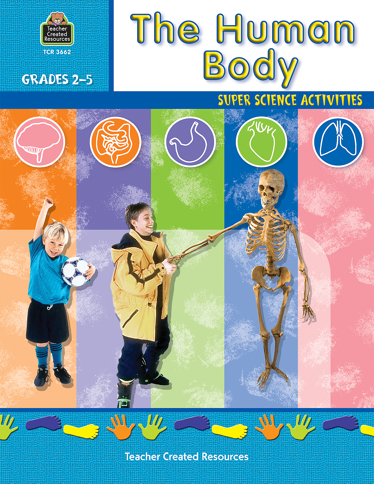 The Human Body - TCR3662 | Teacher Created Resources