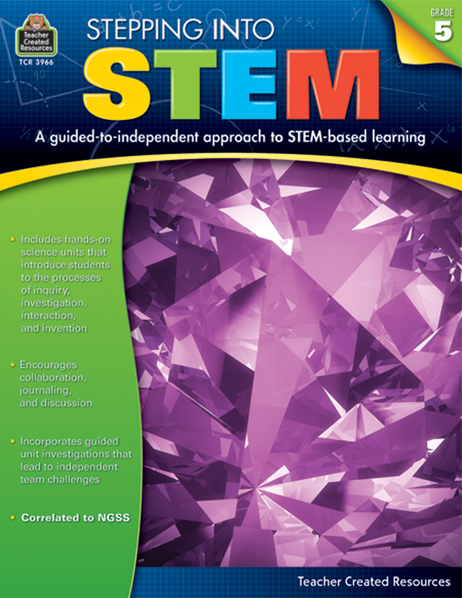Stepping Into STEM (Gr. 5)