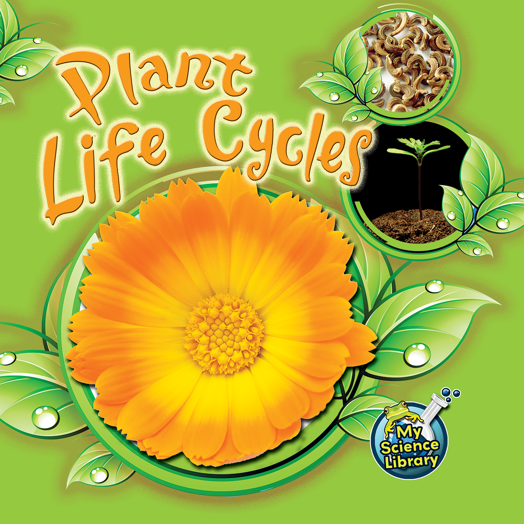 Plant Life Cycles - TCR419362 | Teacher Created Resources