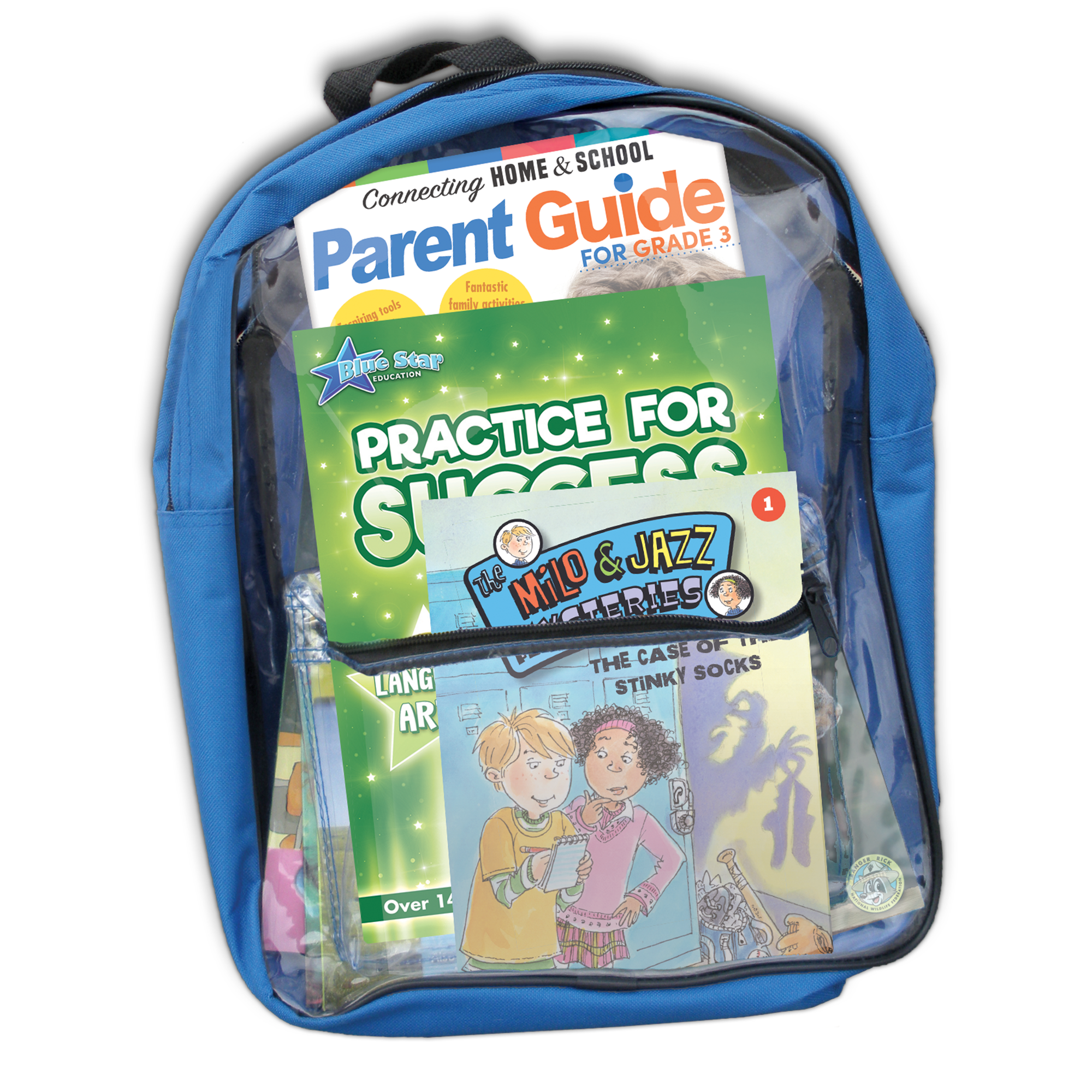 Success Backpack Practice for Success Level D Backpack (Grade 3) - TCR53446 | Teacher ...
