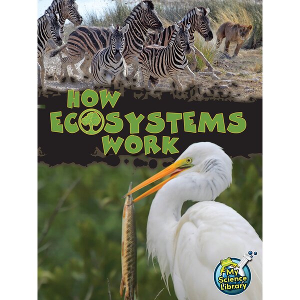 TCR102201 How Ecosystems Work Image