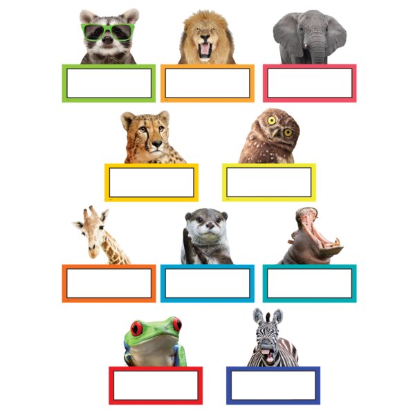 TCR6854 Go Wild Animals Accents Image