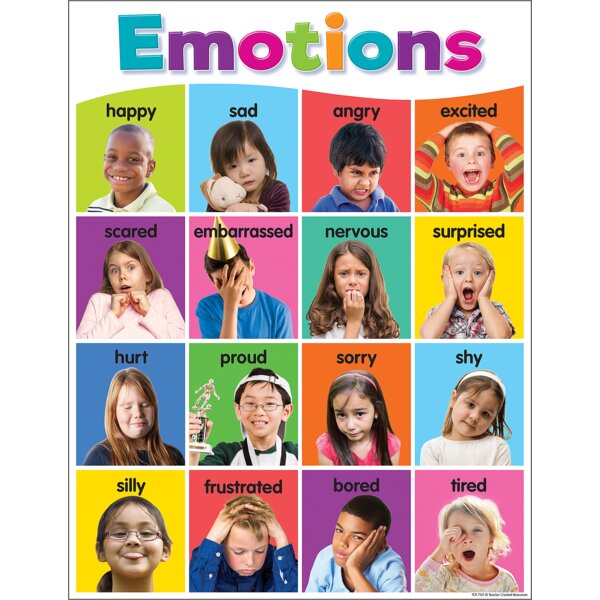 TCR7107 Colorful Emotions Chart Image