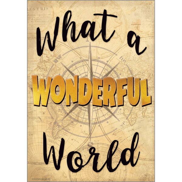 TCR7437 What a Wonderful World Positive Poster Image