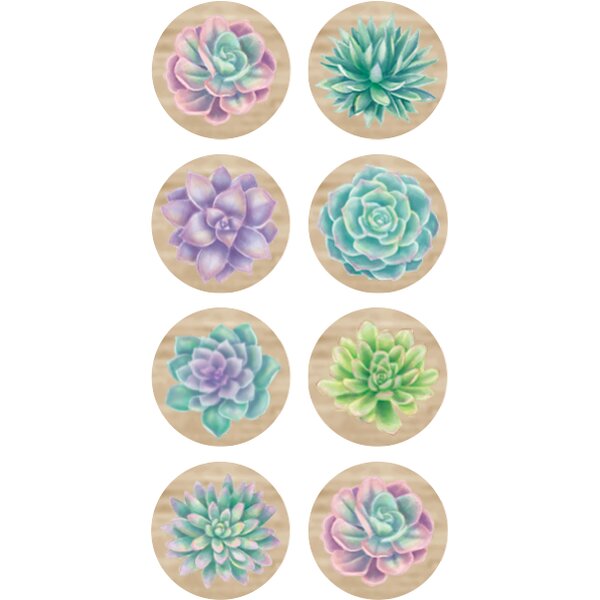 TCR8556 Rustic Bloom Succulents Mini Stickers Image