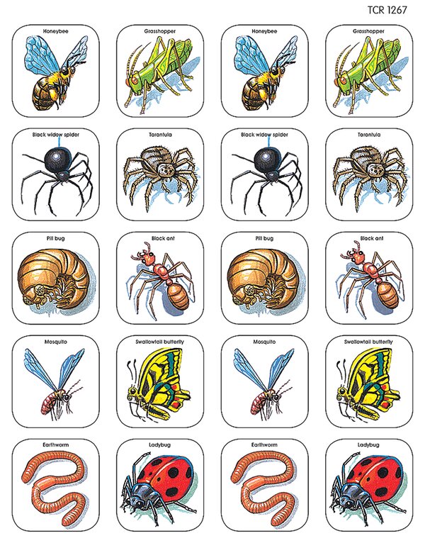 TCR1267 Creepy Crawlies Stickers Image