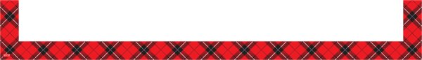 TCR20726 Red Plaid Magnetic Pockets - Large Image