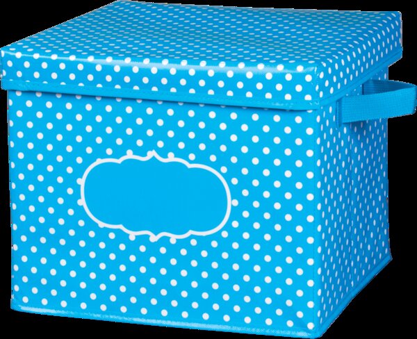 TCR20817 Aqua Polka Dots Storage Box Image