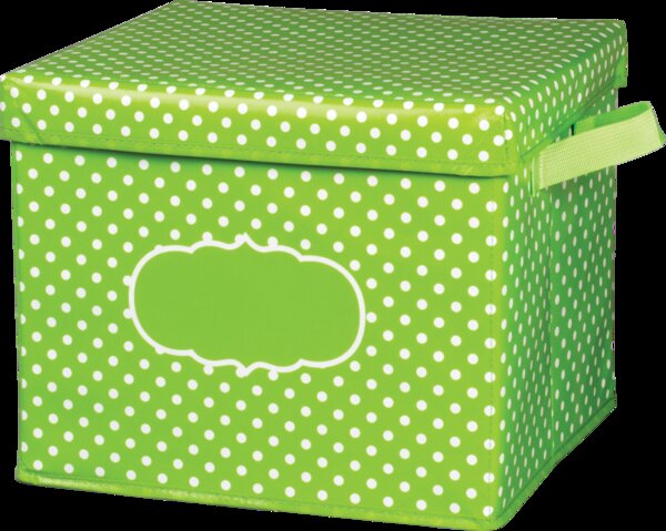 TCR20820 Lime Polka Dots Storage Box Image