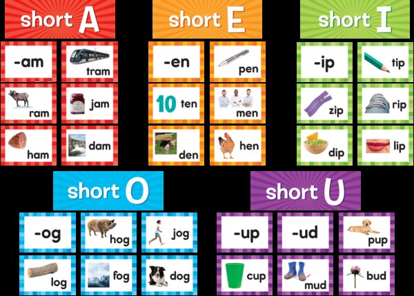 TCR20850 Short Vowels Pocket Chart Cards Image