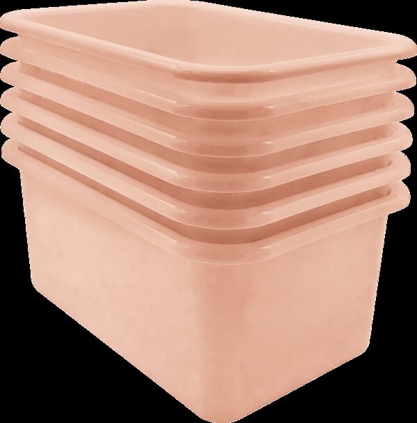 TCR2088584 Blush Small Plastic Storage Bin 6 Pack Image