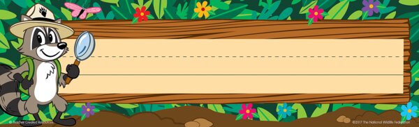 TCR3473 Ranger Rick Flat Name Plates Image