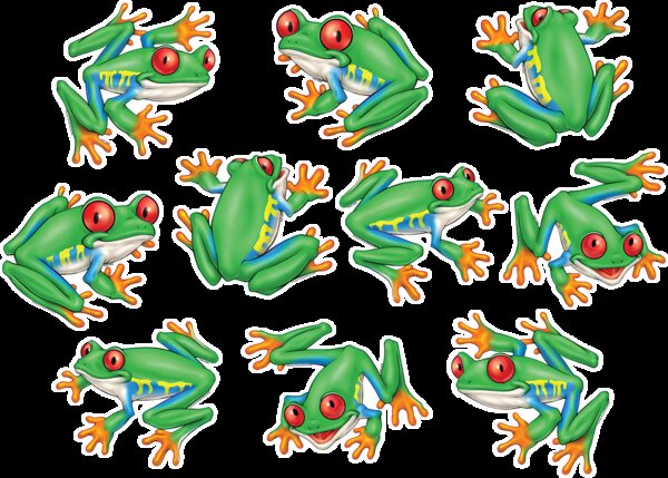 TCR4009 Frog Accents Image