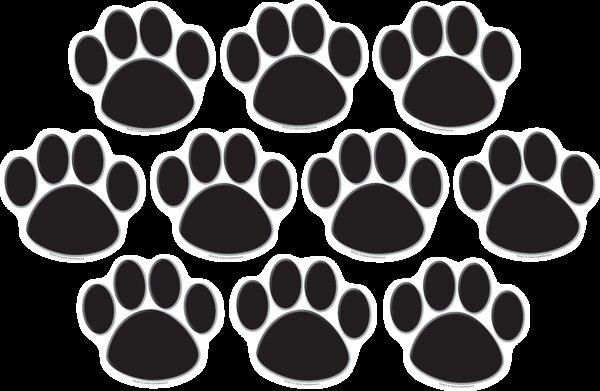 TCR4277 Black Paw Prints Accents Image