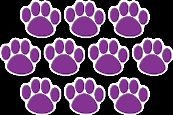 TCR4646 Purple Paw Prints Accents Image