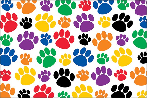 TCR4799 Colorful Paw Prints Postcards Image